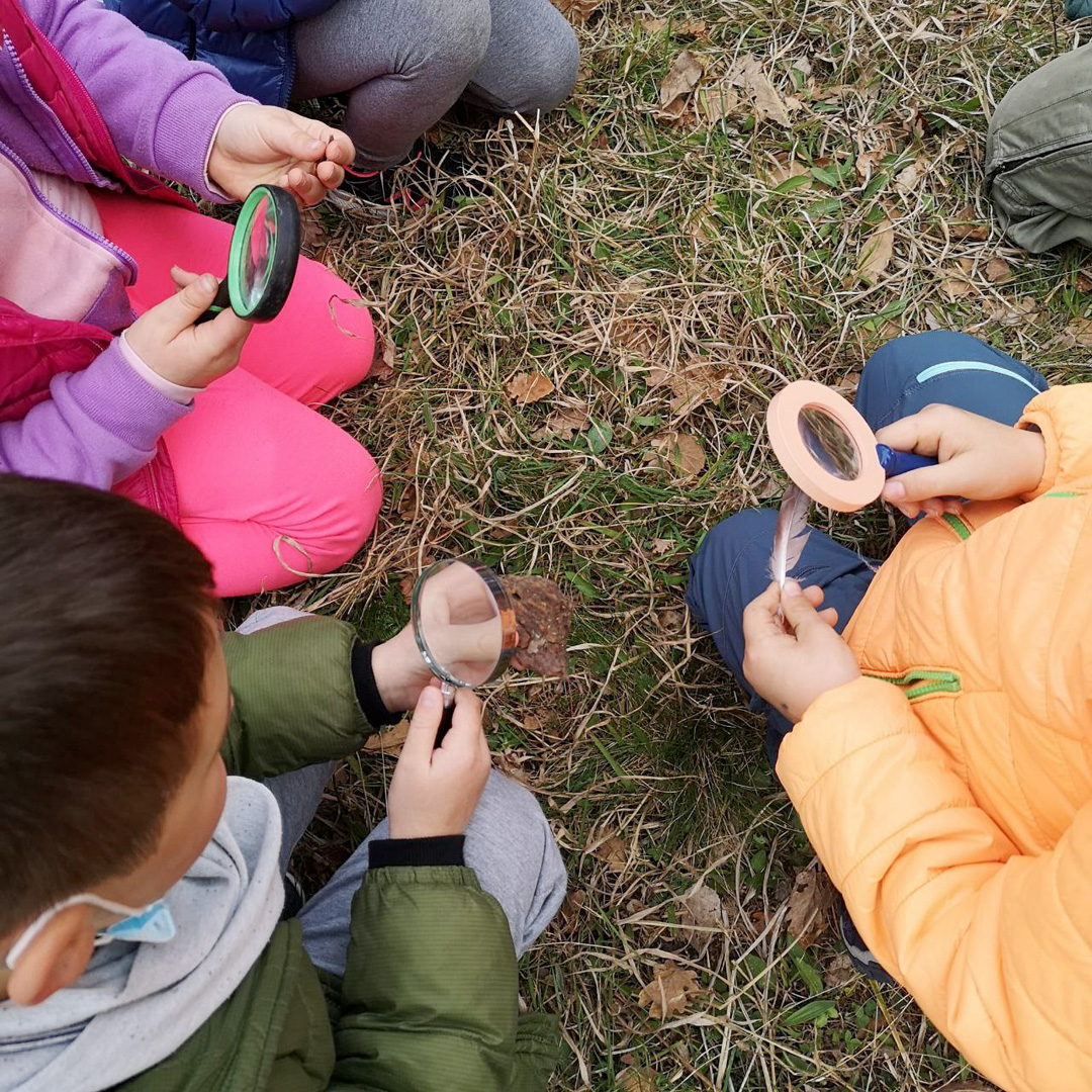 Il gioco libero nel bosco