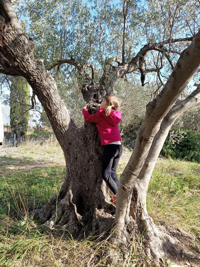 Bambini esplorano il bosco